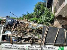 Trusted Lewisville, WA Junk Removal Services Experts